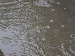 雨量監(jiān)測儀，提供雨量原始數(shù)據(jù)