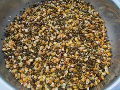 真菌毒素對(duì)人和動(dòng)物有極大的危害！